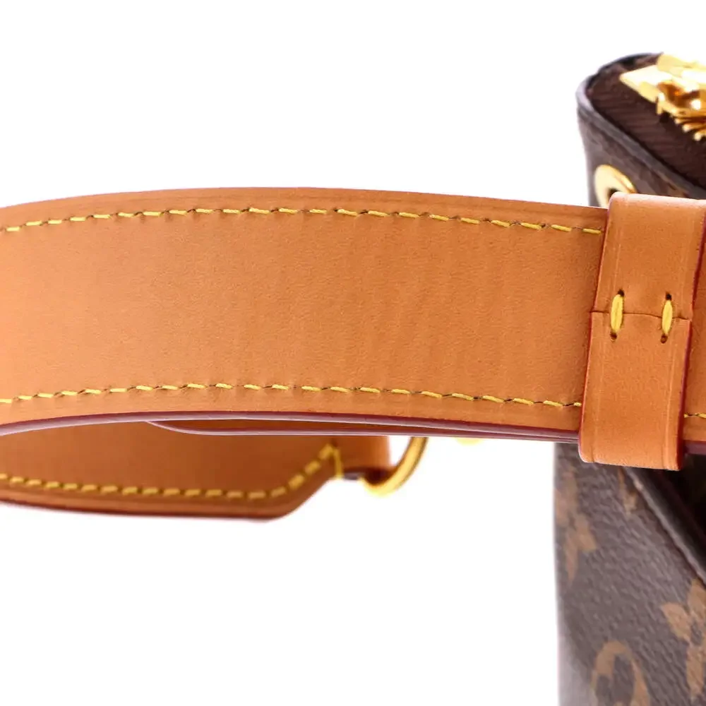 Louis Vuitton Odeon Nm Handbag Canvas #266059L21B